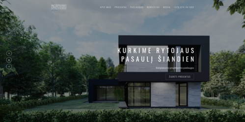 Projektavimo sprendimai